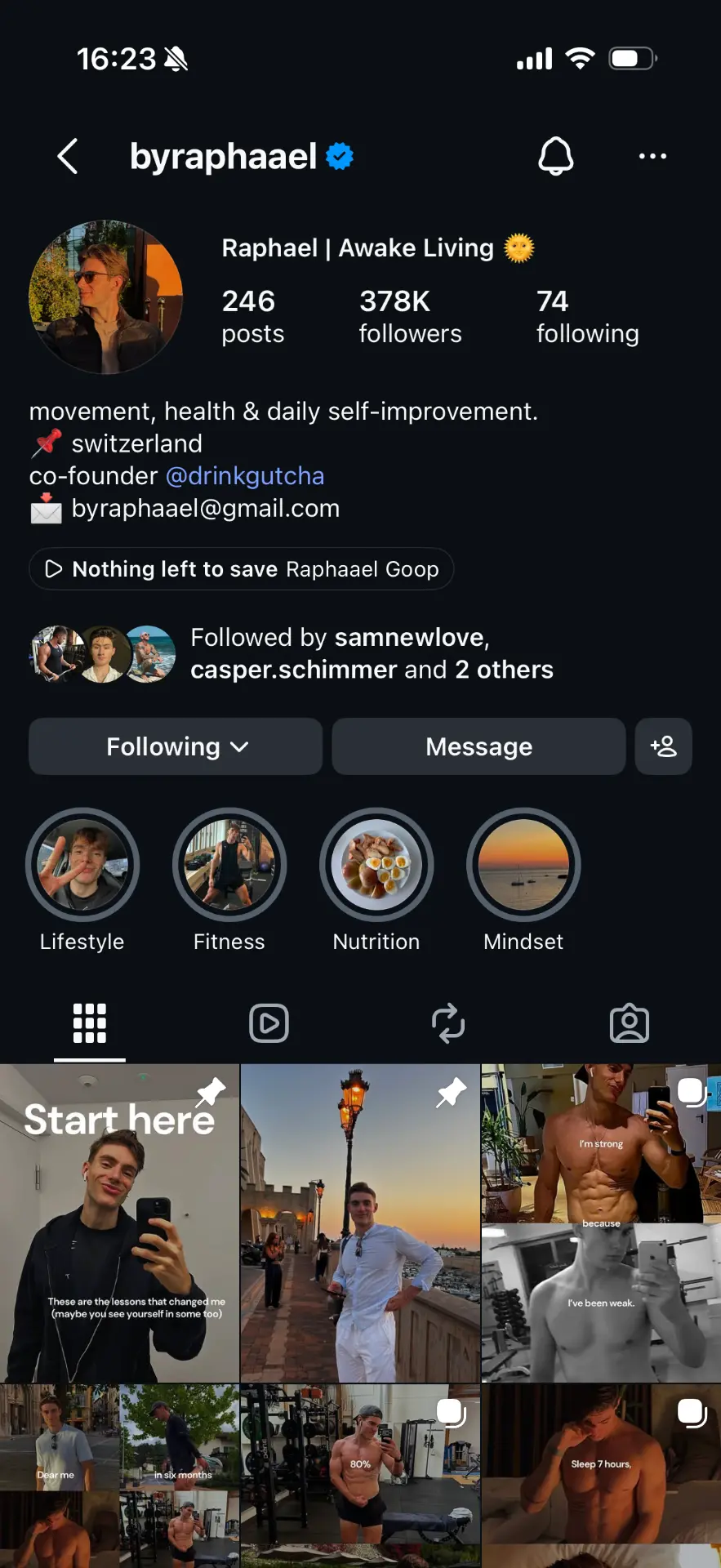 Raphael Instagram profile with 378K followers