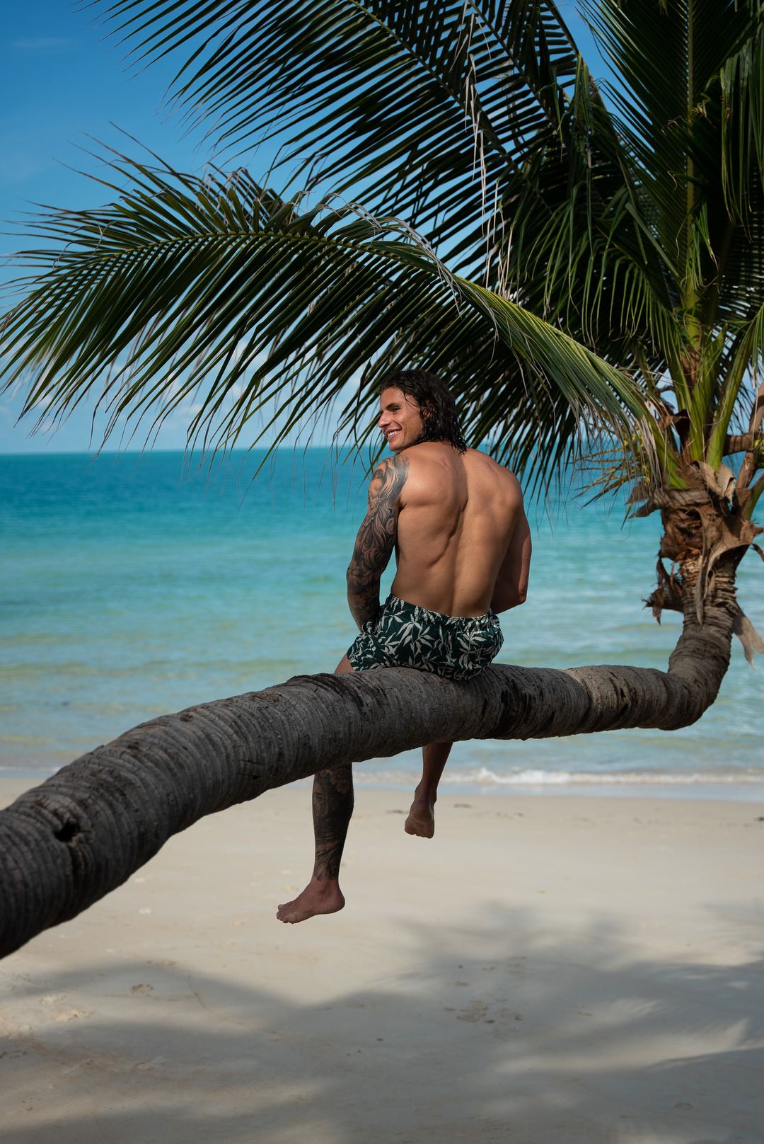 Timon sitting on a palm tree above a beach