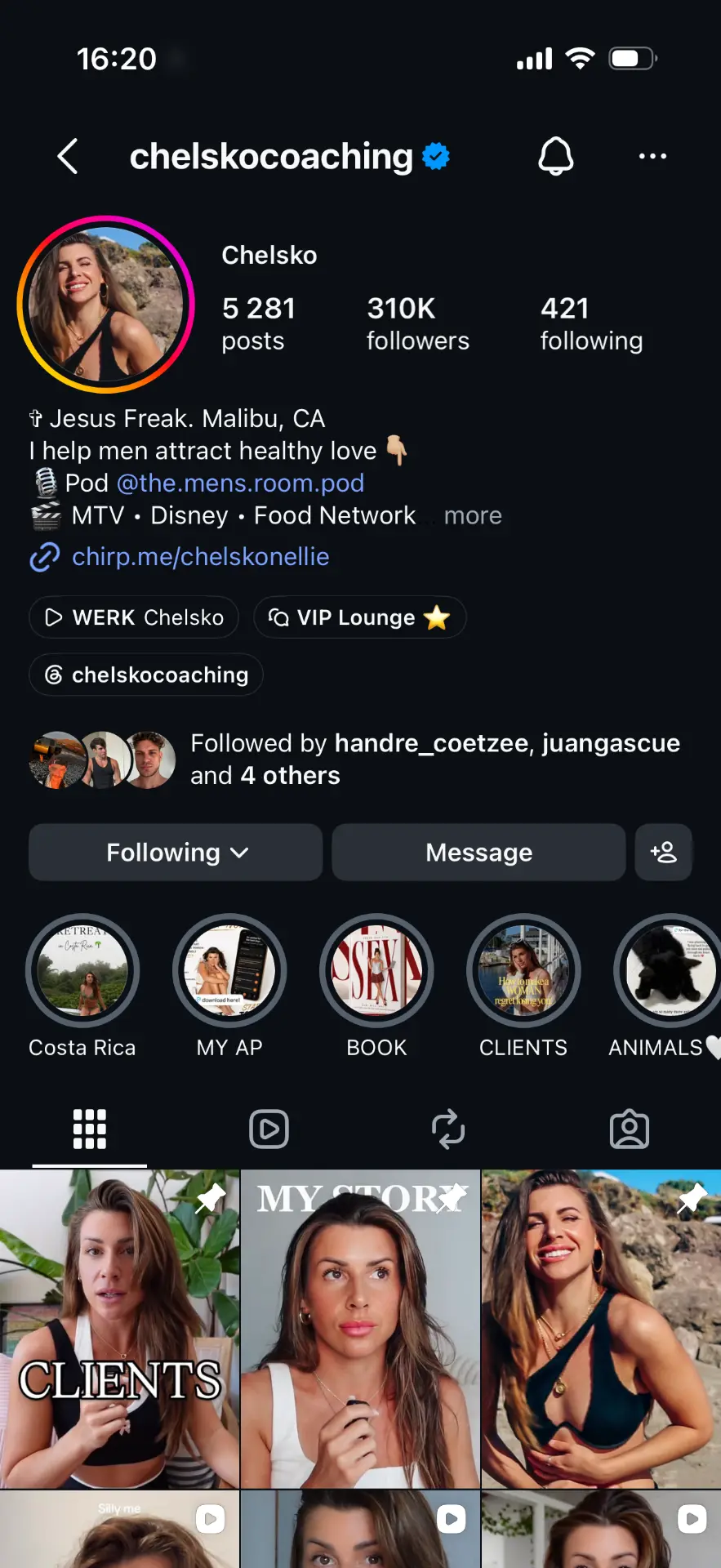 Chelsko Instagram profile with 310K followers